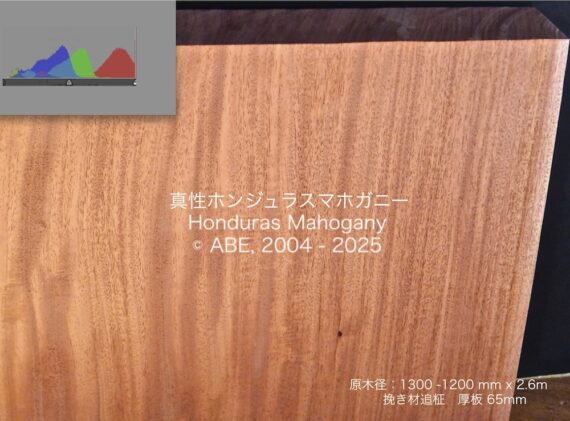 仏彫　根付　日本ホンシュウ鹿角材質　N7 鹿角彫刻「ふくふく猫」根付（紫） | deer bone 